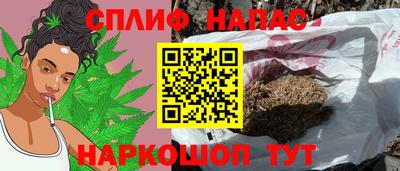 тгк Севастополь