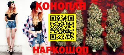 тгк Севастополь
