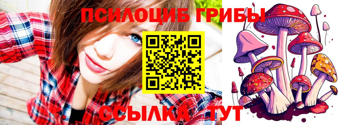 Псилоцибиновые грибы мухоморы Ржев