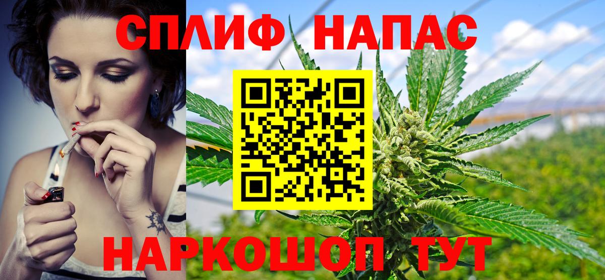 Бошки Шишки семена Ржев